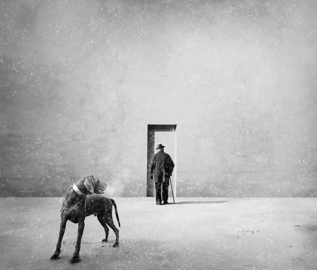 ���������