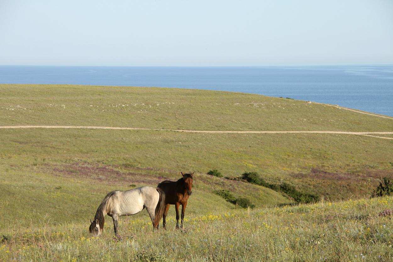 ���������