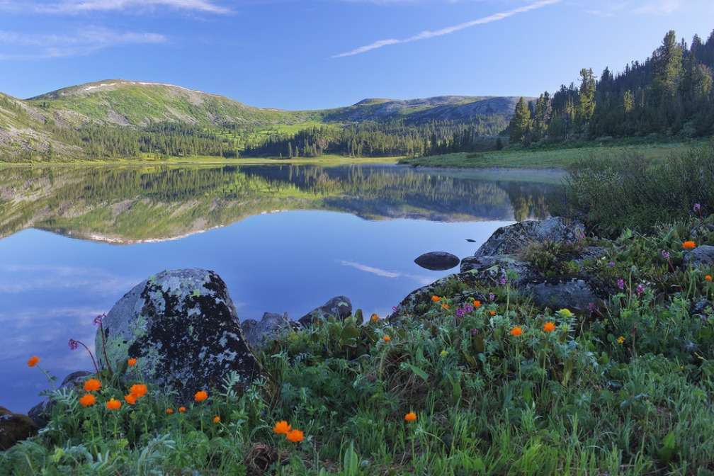 ���������