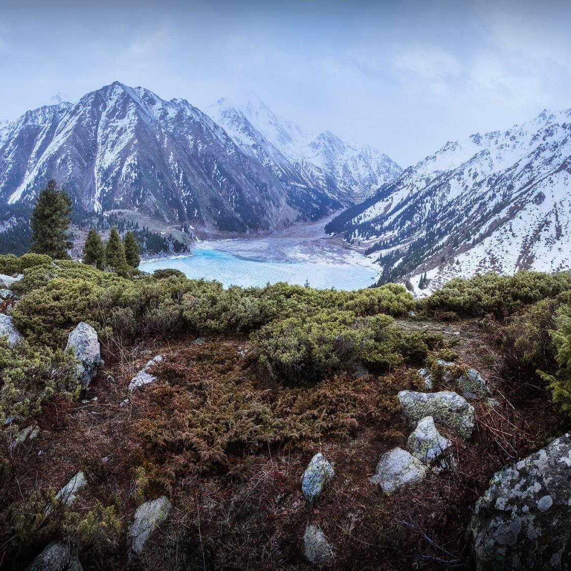 ���������