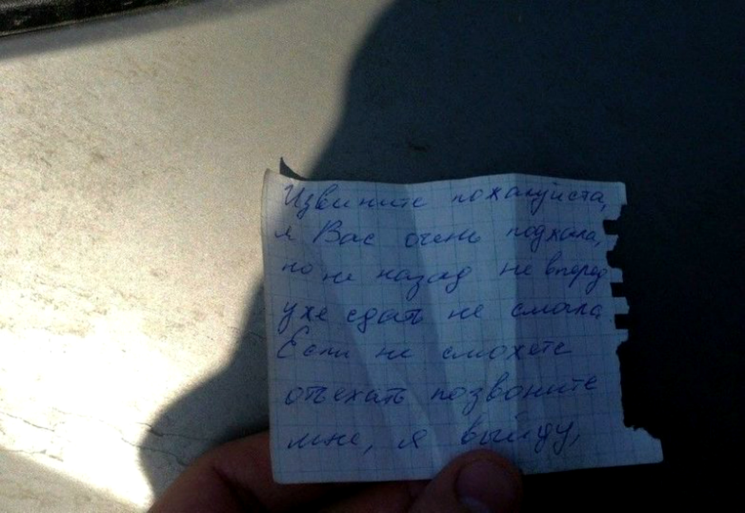 ���������