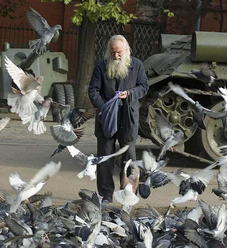 ���������