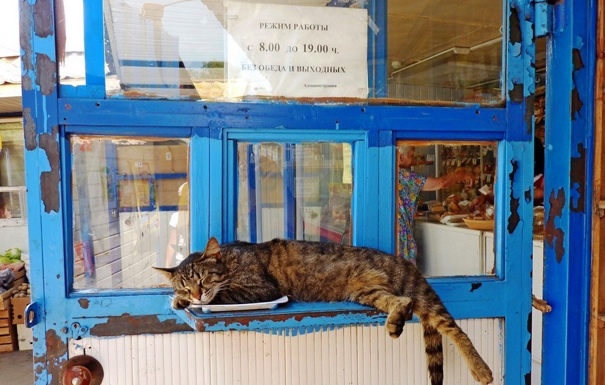 ���������