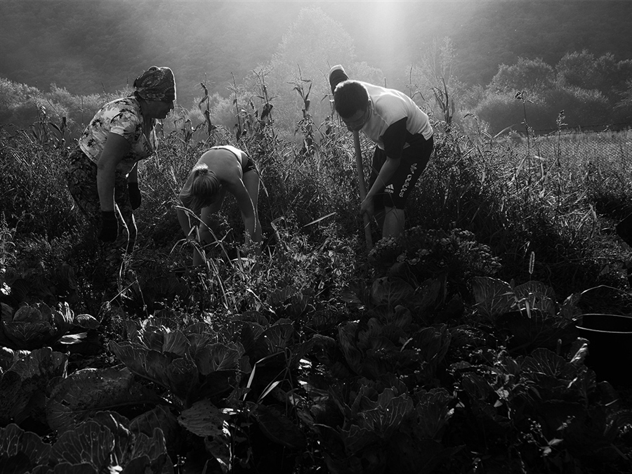 ���������