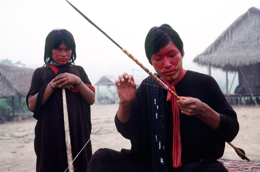 ���������