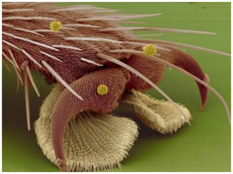 ���������