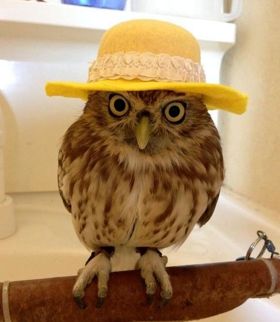 ���������