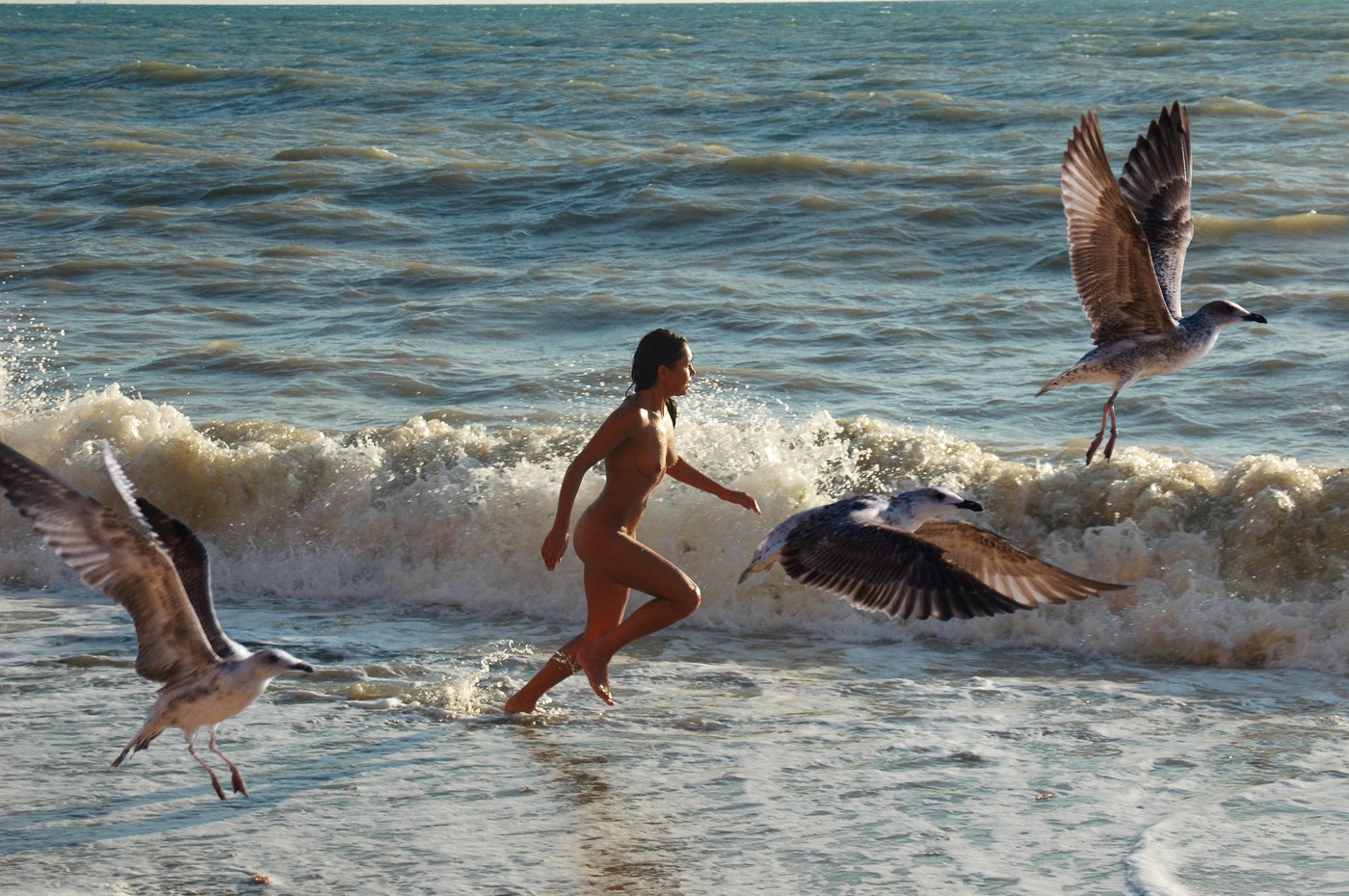 ���������