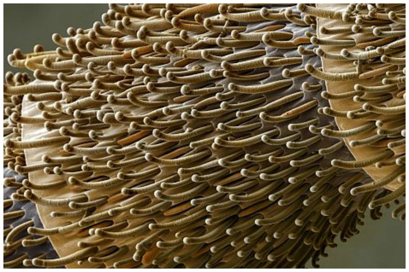 ���������