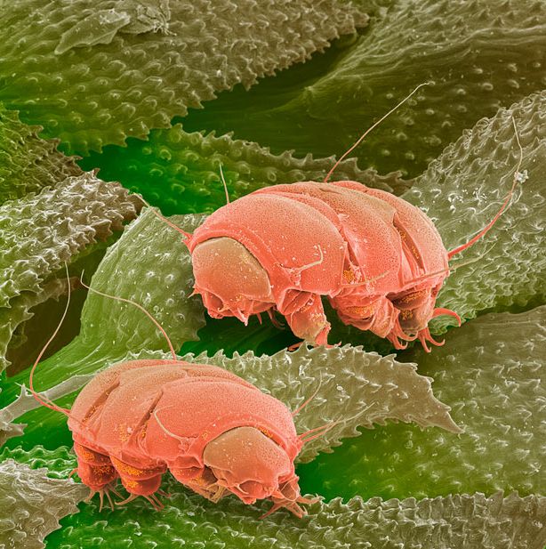 ���������