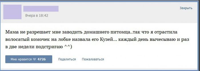 ���������