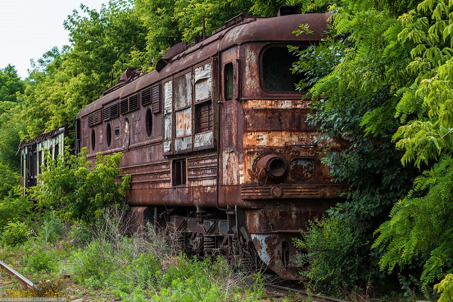 ���������