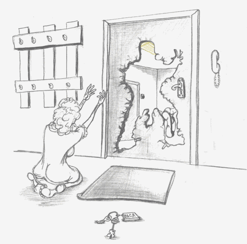 ���������