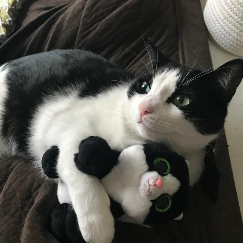 ���������