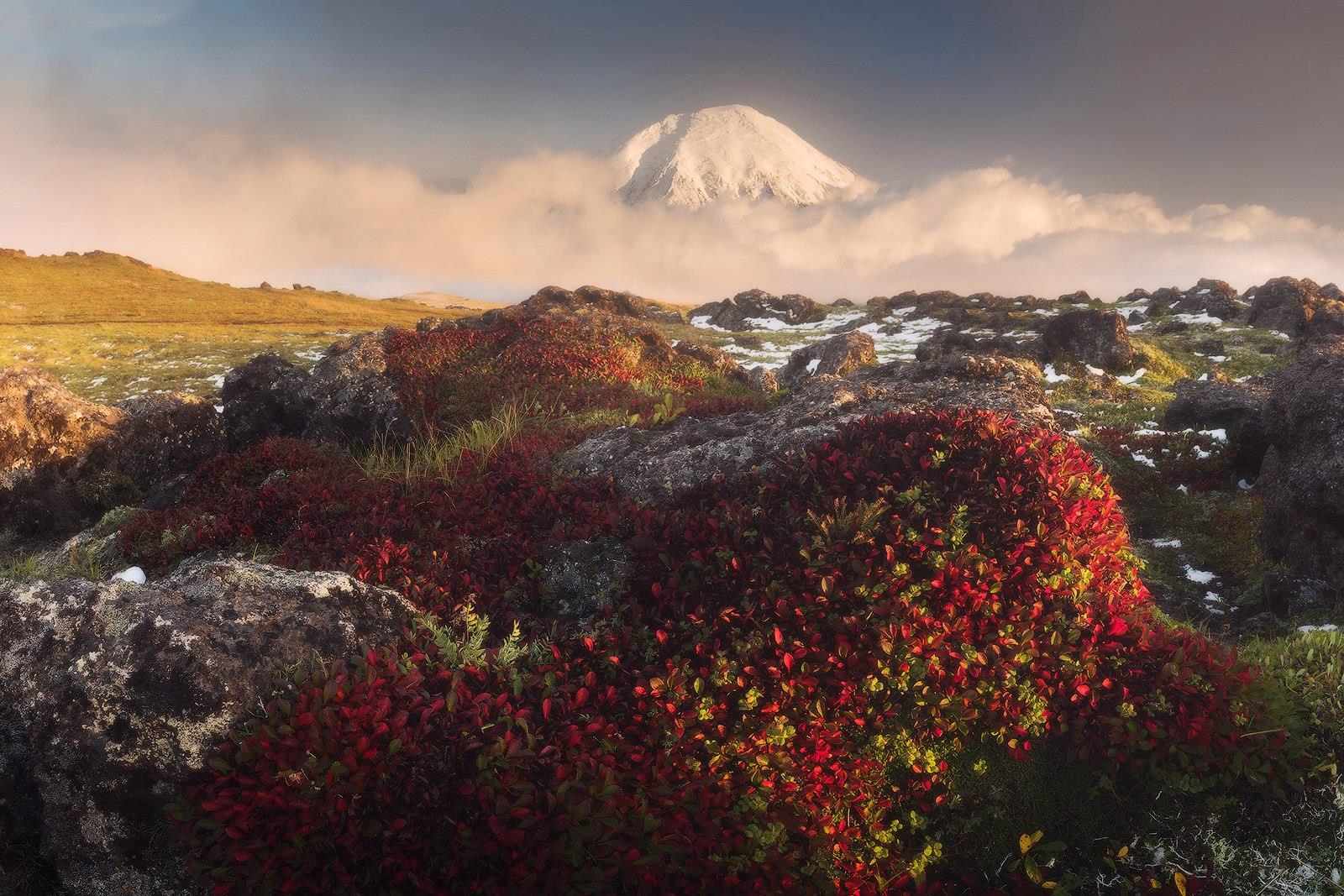 ���������