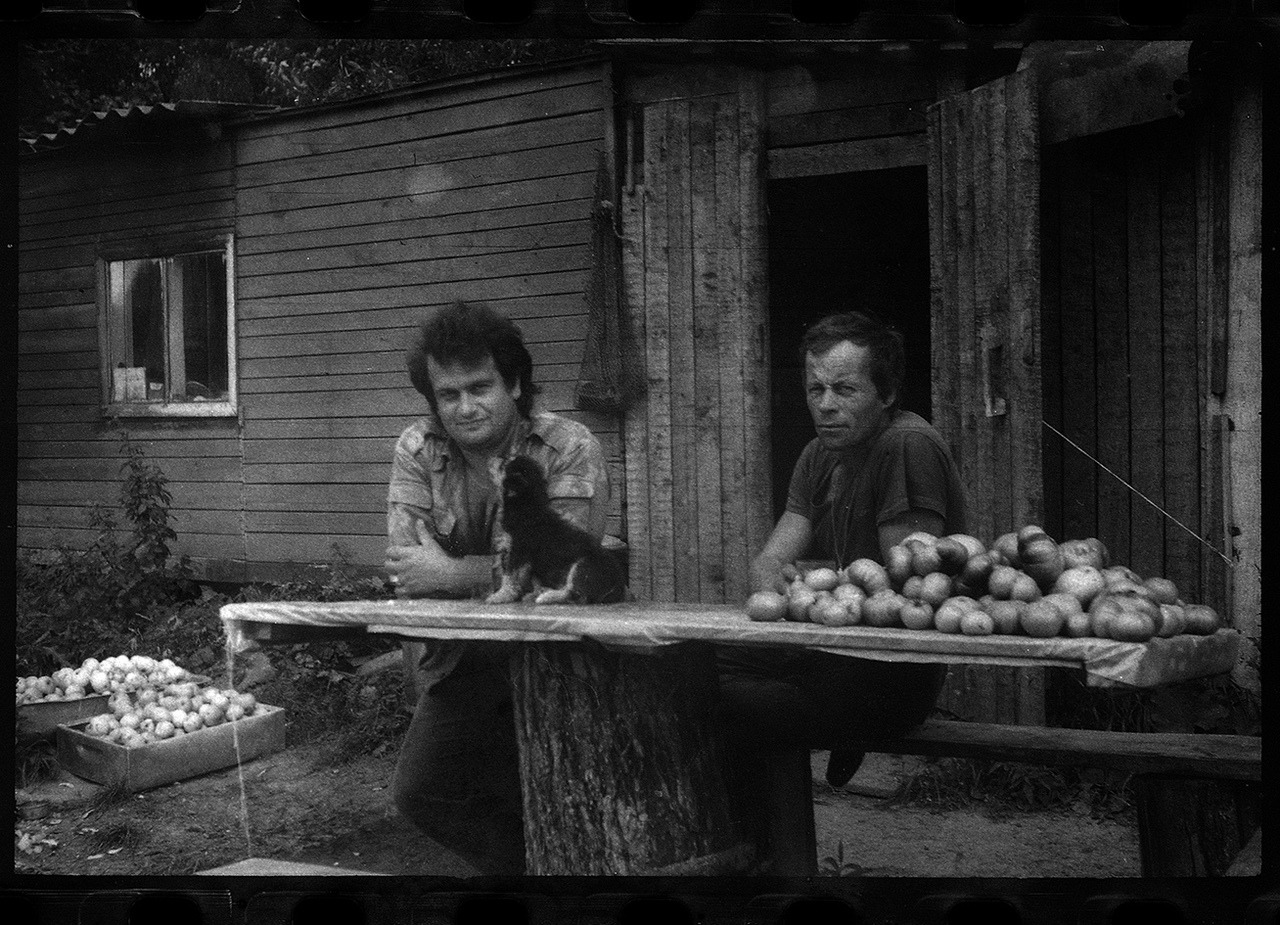 ���������