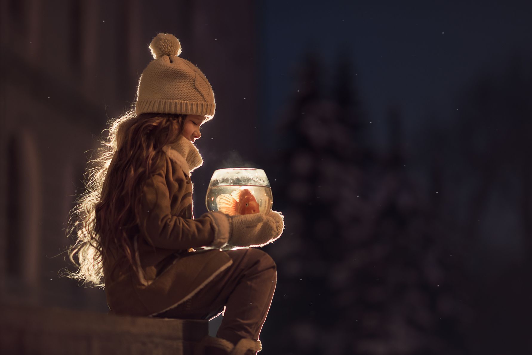 ���������