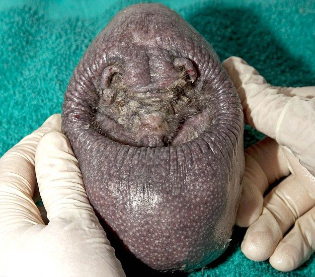 ���������