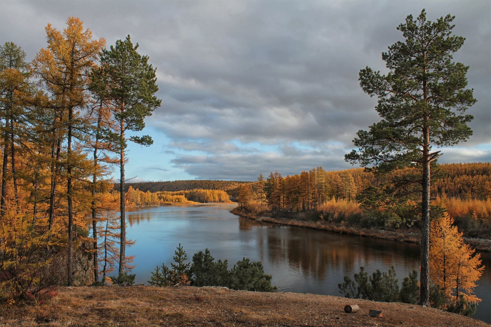 ���������