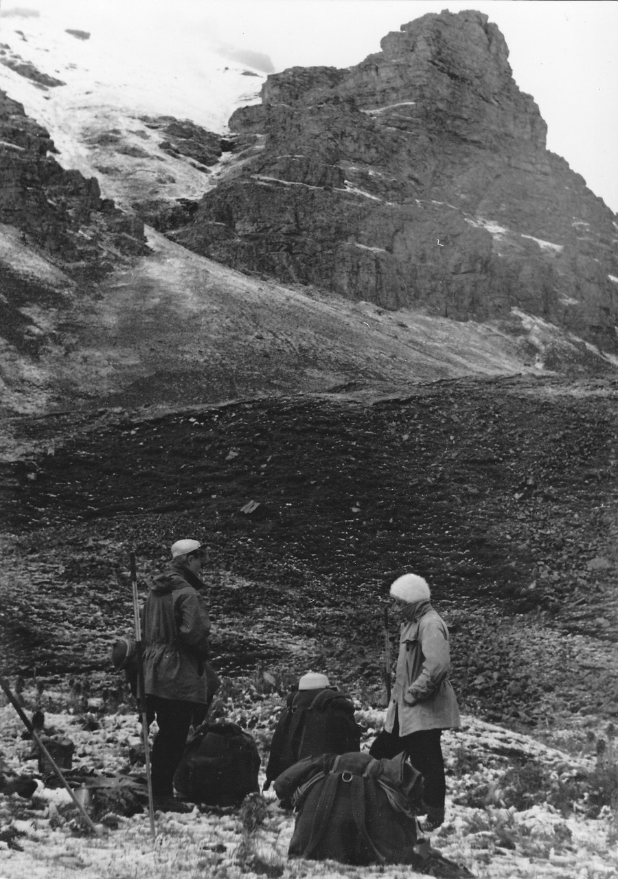 ���������