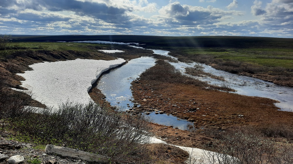 ���������