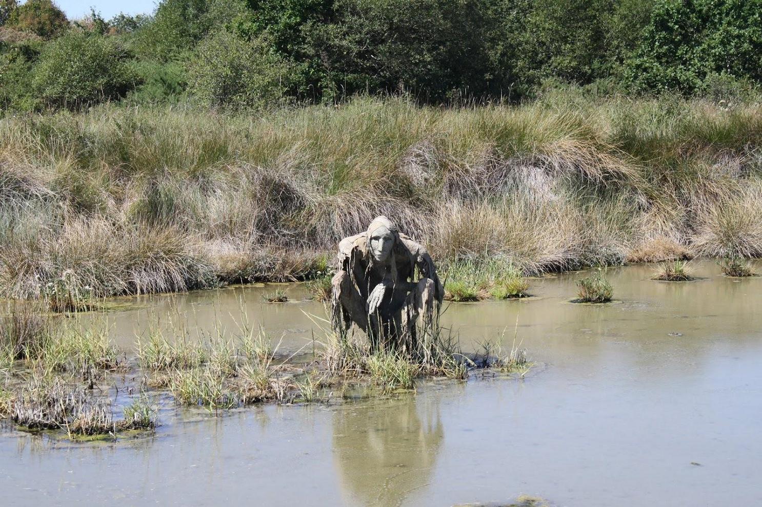 ���������