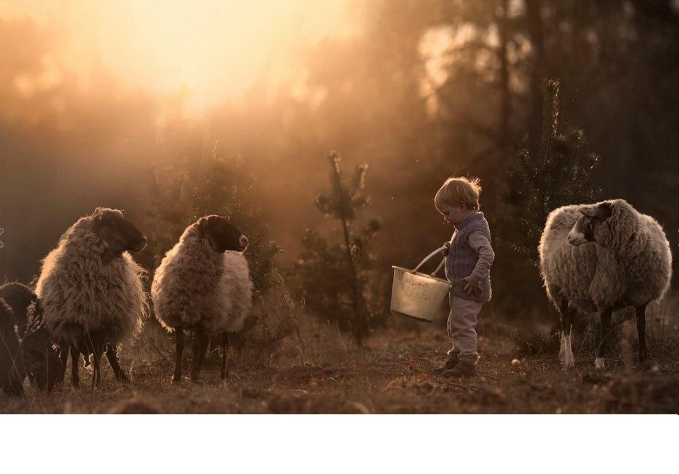 ���������