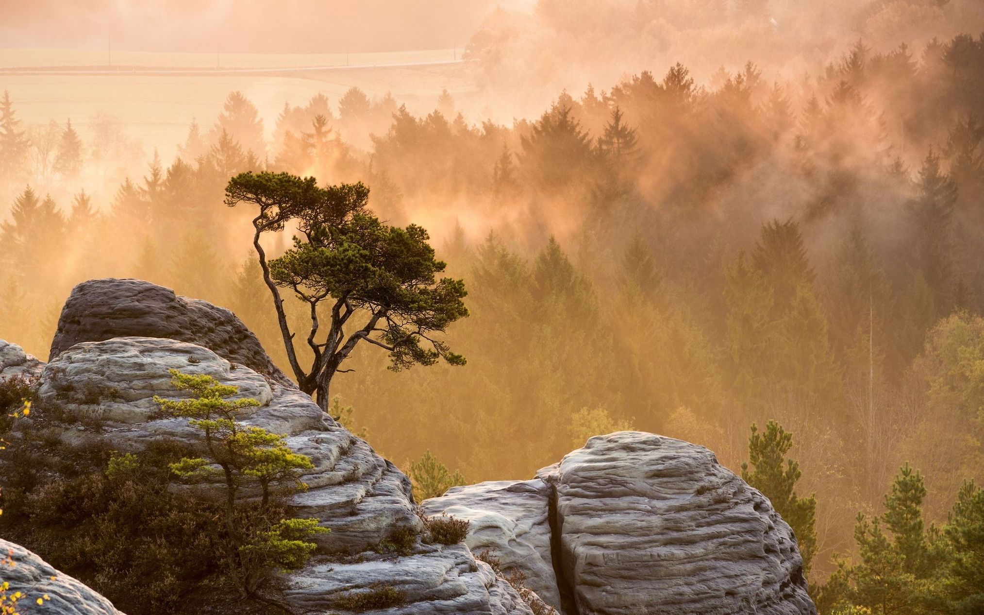 ���������