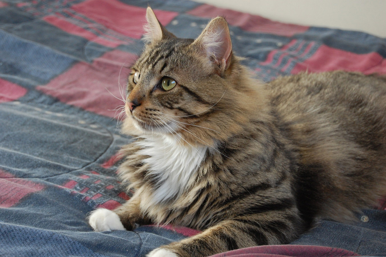 ���������