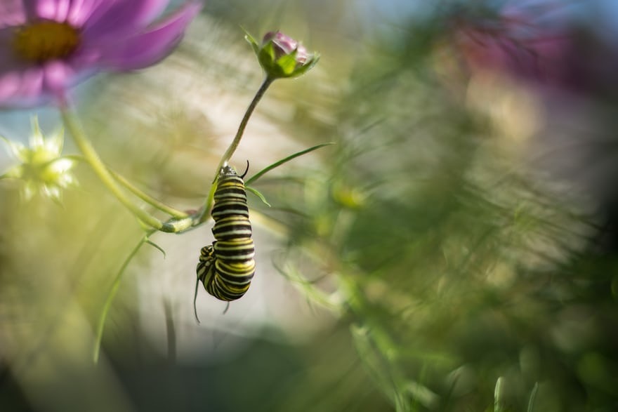 ���������