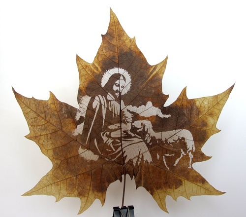 ���������