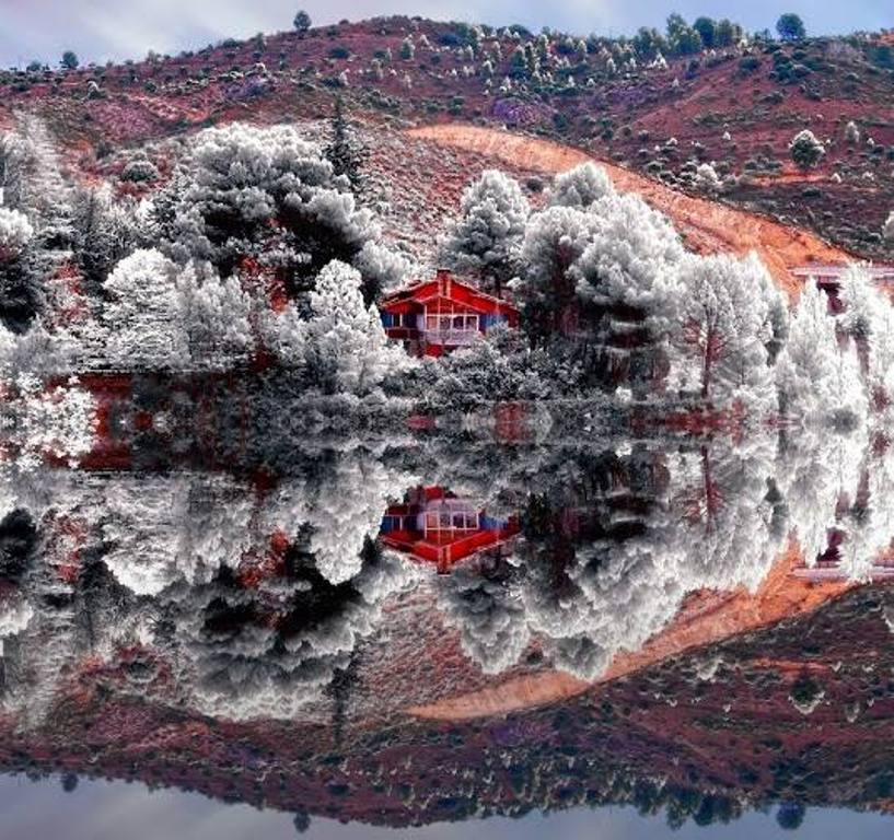 ���������