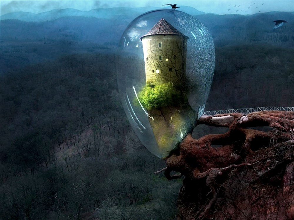 ���������