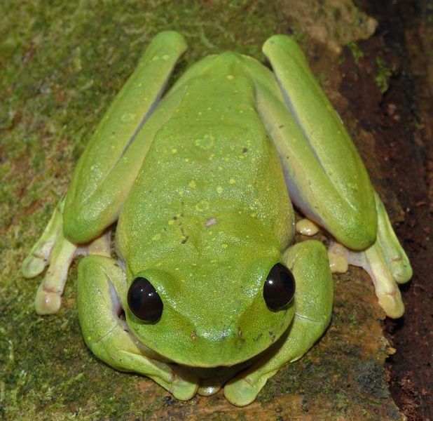 ���������