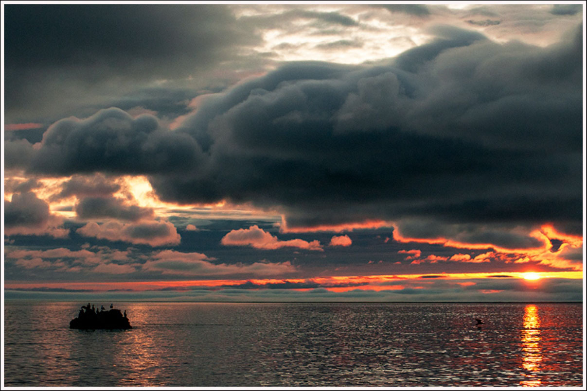 ���������