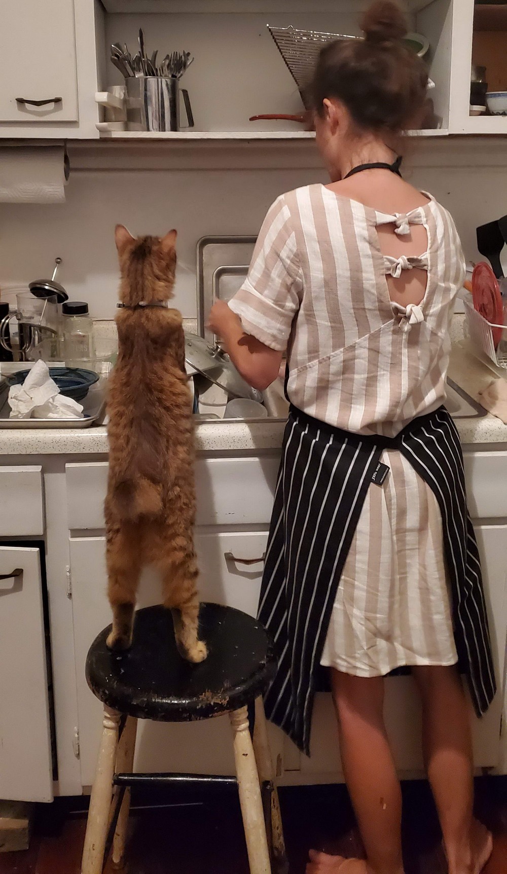 ���������