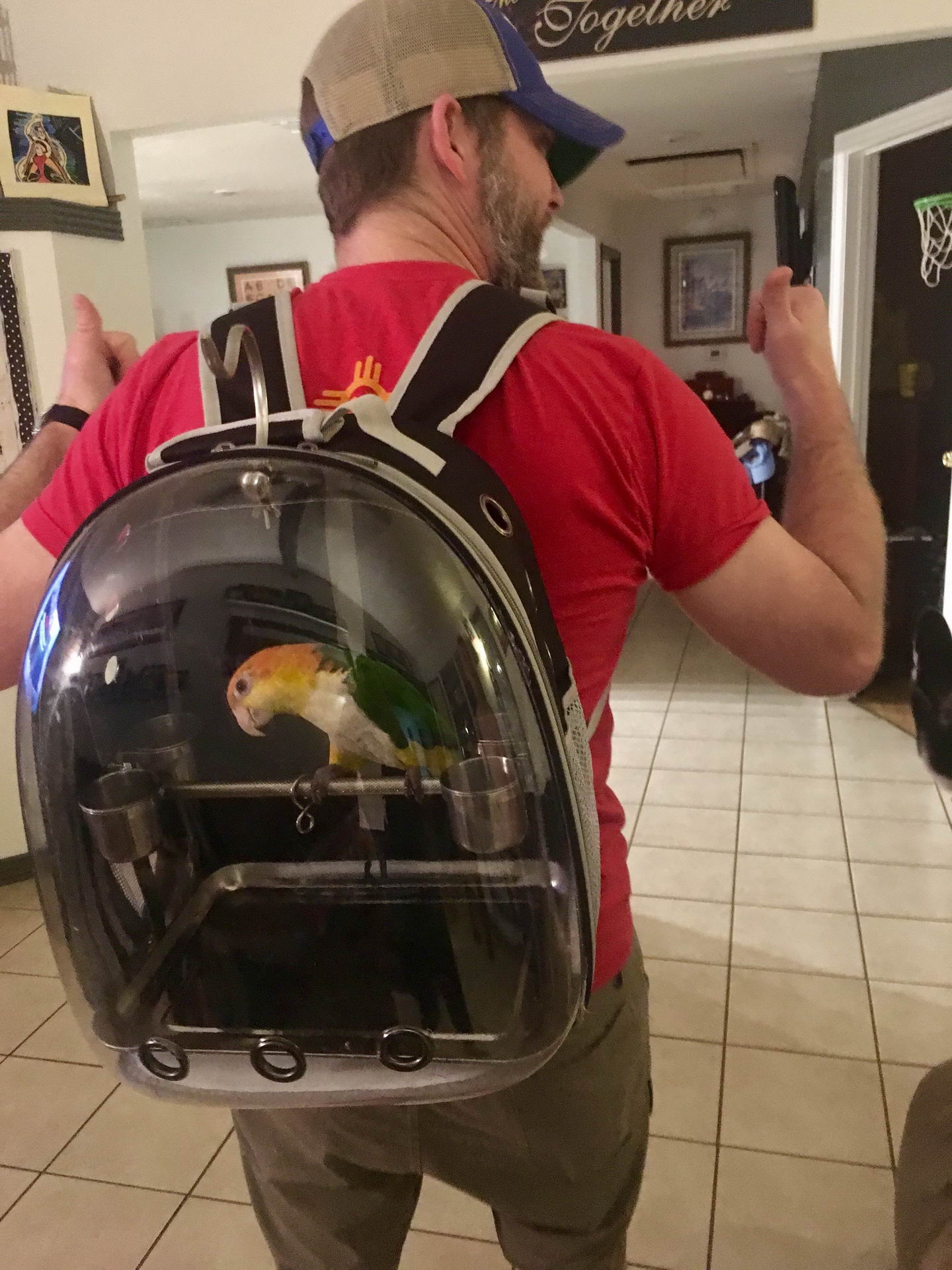 ���������