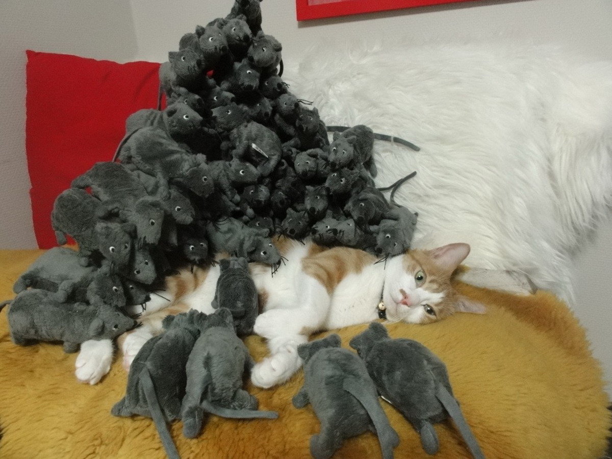 ���������