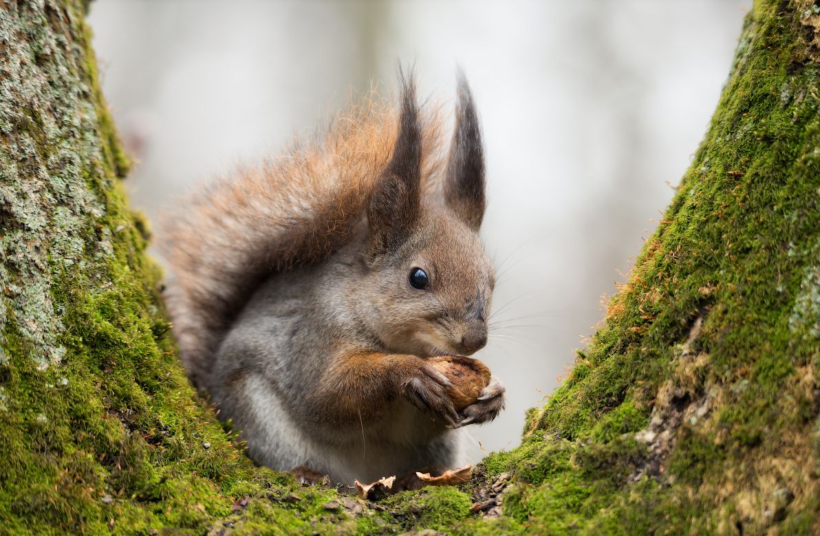 ���������