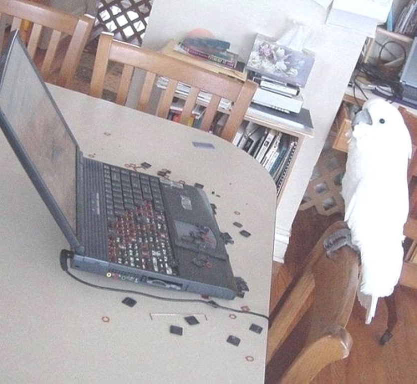 ���������