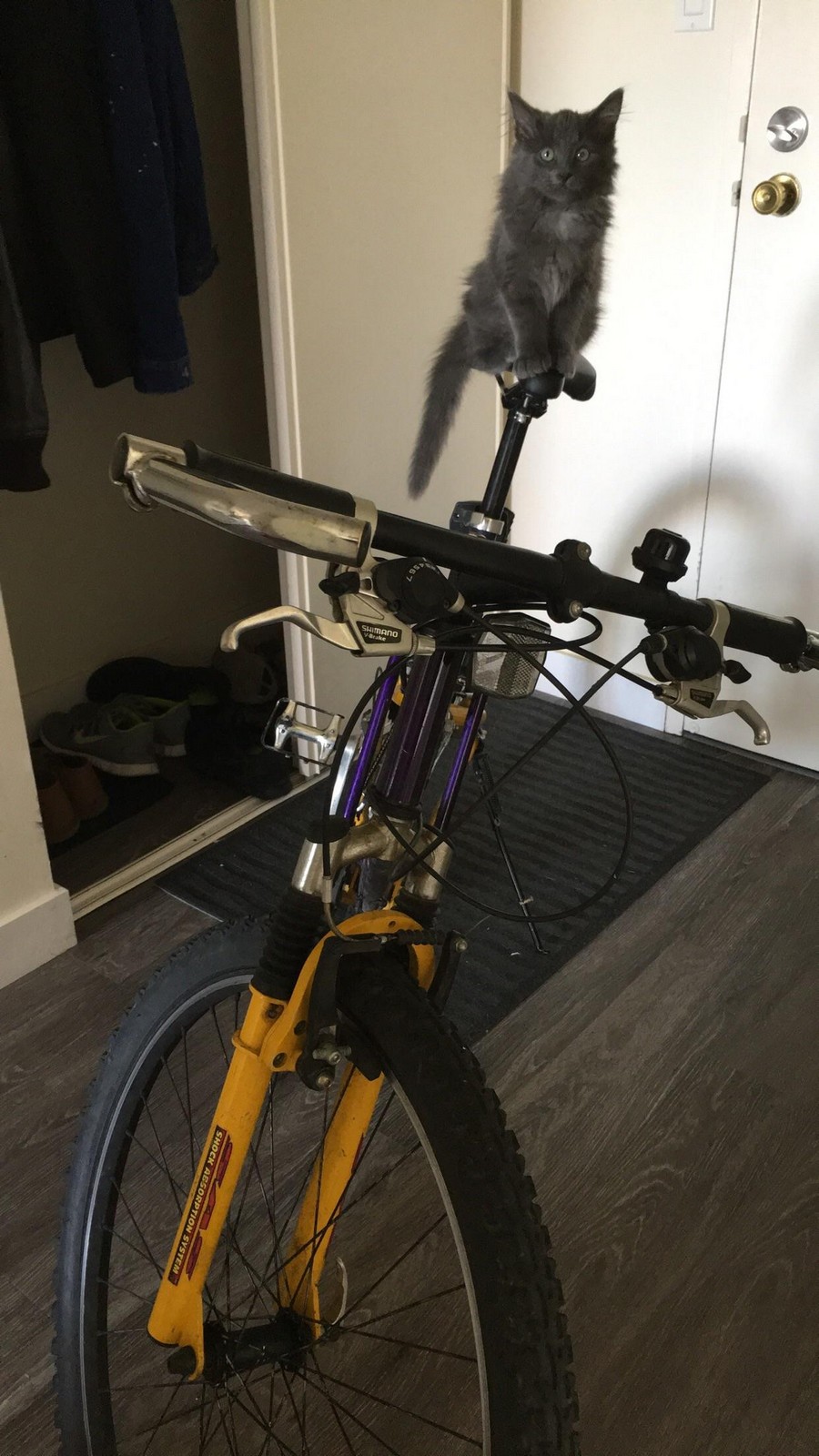 ���������