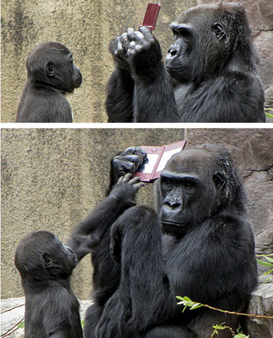 ���������