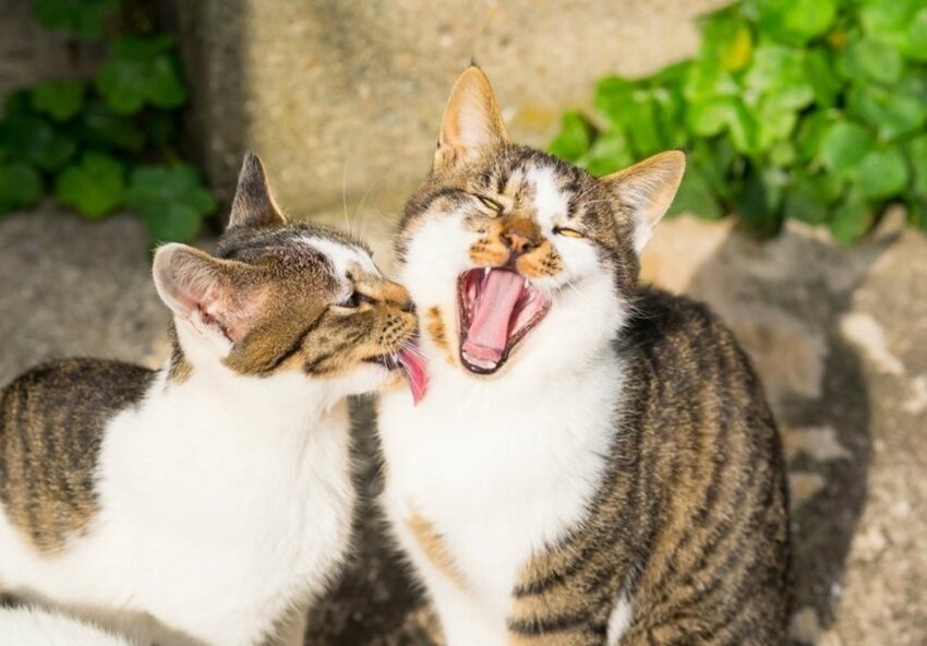 ���������