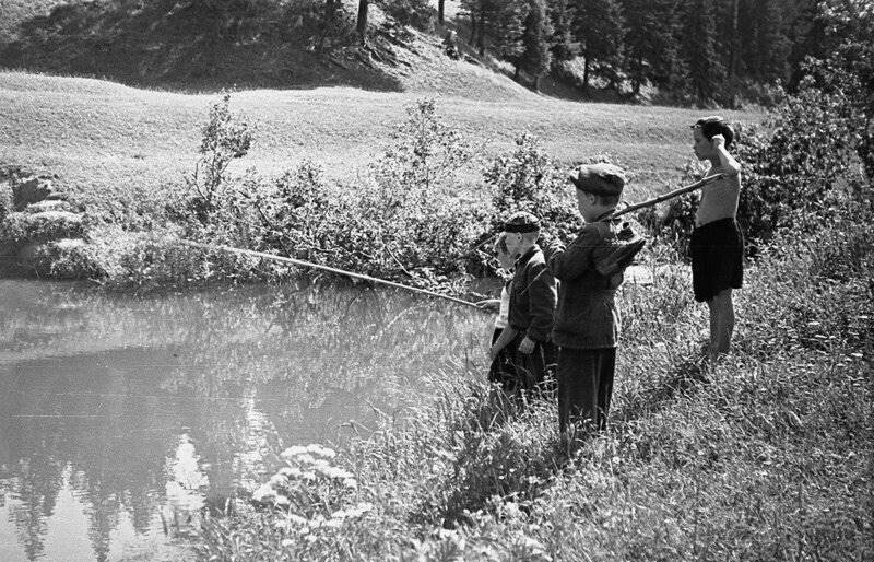 ���������