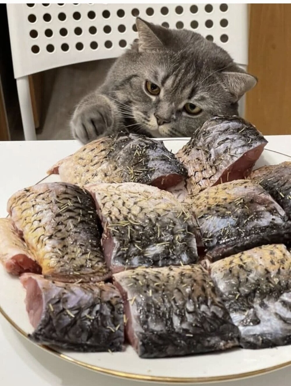 ���������