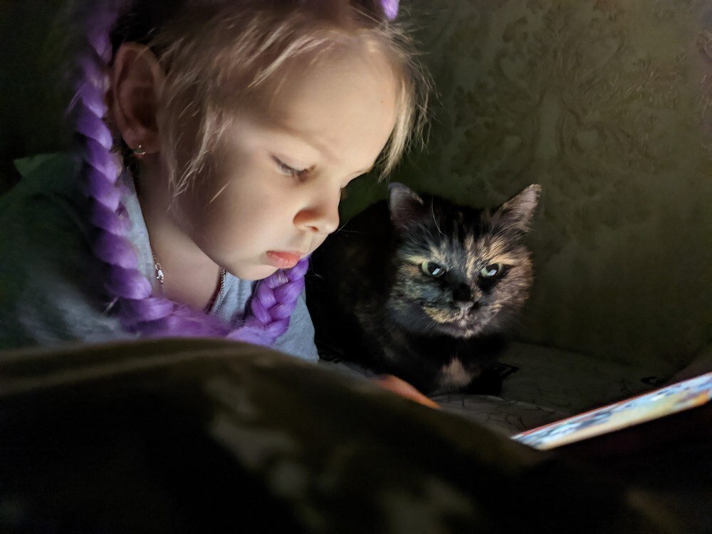 ���������