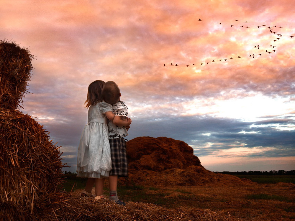 ���������