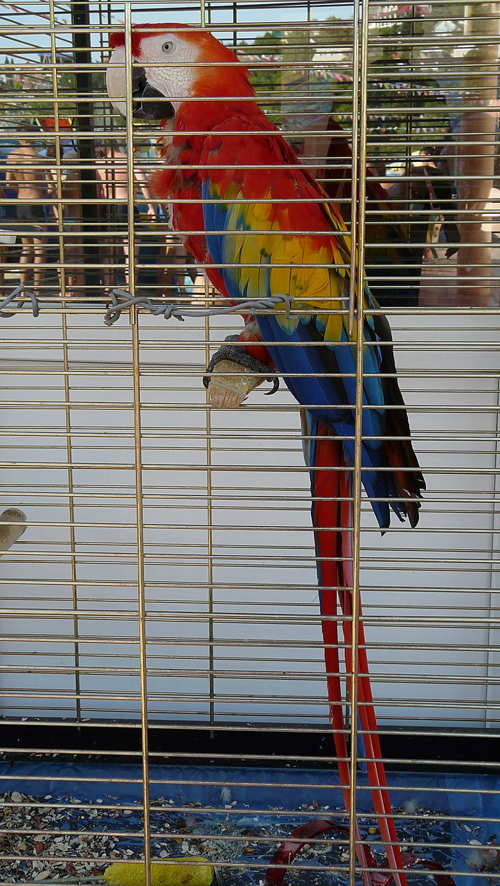 ���������