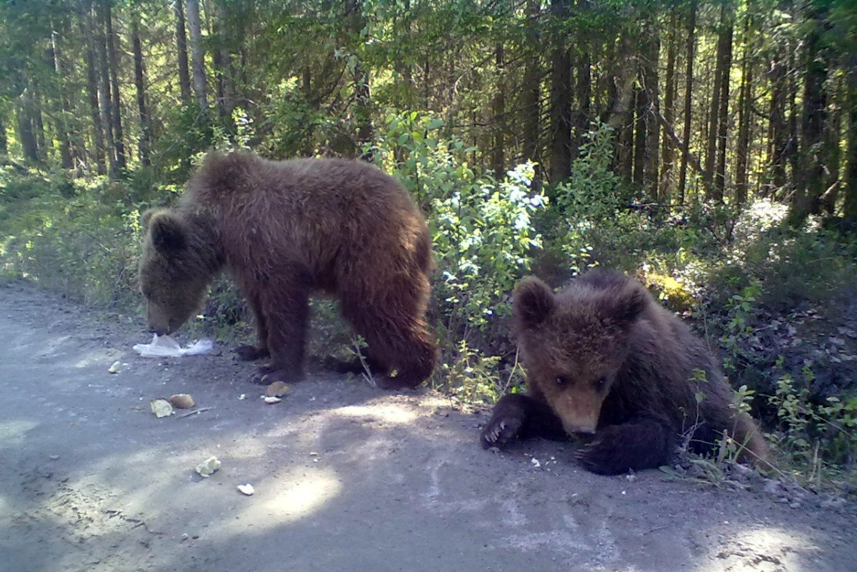 ���������