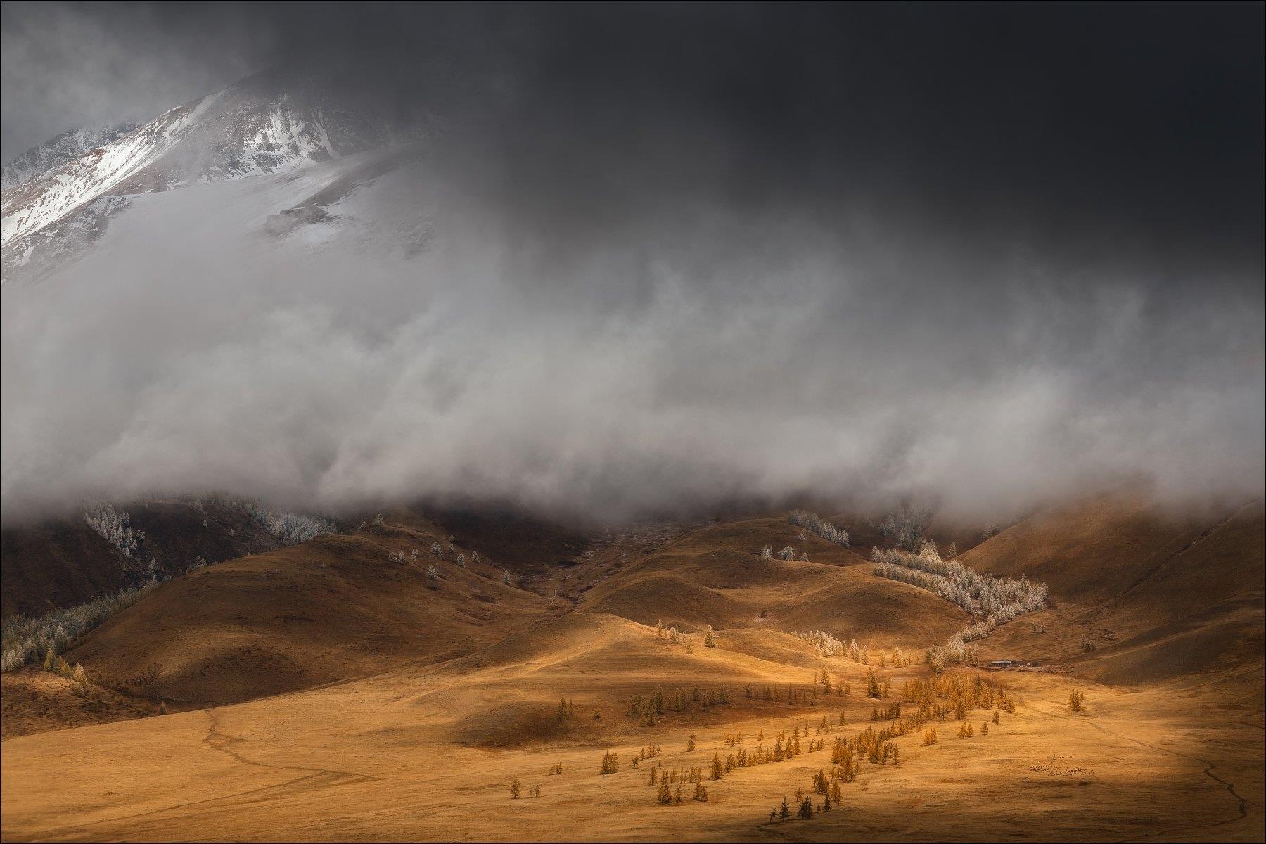 ���������